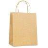 Brunswick Medium Natural Paper Bag in Natural