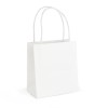 Brunswick Small White Paper Bag in White