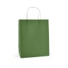 Brunswick Medium Coloured Paper Bag in Green