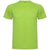 Montecarlo short sleeve men's sports t-shirt in Lime / Green Lime