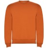 Clasica unisex crewneck sweater in Orange