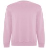 Batian unisex crewneck sweater in Light Pink