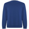 Batian unisex crewneck sweater in Royal