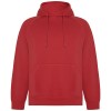 Vinson unisex hoodie in Red