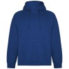 Vinson unisex hoodie in Royal Blue
