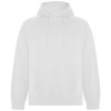 Vinson unisex hoodie in White