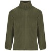 Artic men's full zip fleece jacket in Pine Green