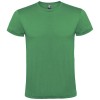 Atomic short sleeve unisex t-shirt in Kelly Green