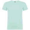 Beagle short sleeve men's t-shirt in Mint