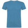 Beagle short sleeve men's t-shirt in Turquois