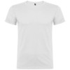 Beagle short sleeve men's t-shirt in White