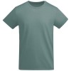 Breda short sleeve men's t-shirt in Calm Blue