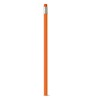 ATENEO. Pencil in orange