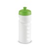 LOWRY. 530 mL HDPE sports bottle in Light Green