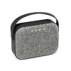 TEDS. ABS portable speaker with microphone in grey
