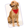 Bandana Pet Collar Roco in red