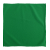 Cleaner Cloth Frimax in green