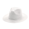 Hat Hindyp in white