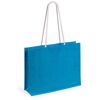Bag Hintol in blue
