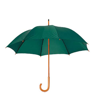 Umbrella Santy in green