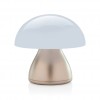 Luming RCS recycled plastic USB re-chargeable table lamp in Bronze