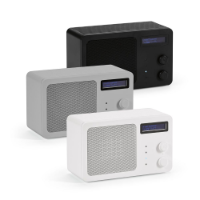 Soundview Speaker