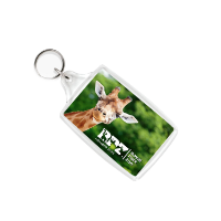 Acrylic Insert Keyring - L4 96mm X 55mm