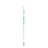 BIC® Evolution® Ecolutions® Cut pencil