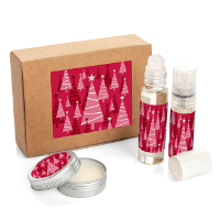 Chrsitmas Wellbeing Essentials Kit In A Box