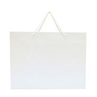 Walton Large Gloss Laminated Paper Carrier Bag