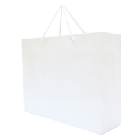 Walton Large Matte Laminated Paper Carrier Bag