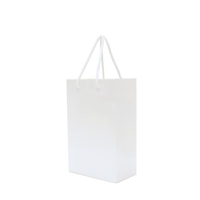 Walton A4 White Matte Laminated Paper Carrier Bag