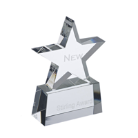 Stirling Crystal Star Award