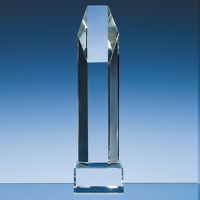 25.5cm Optical Crystal Hexagon Award