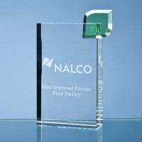 17cm Optical Crystal  Eco Excellence  Award with a Single Green Leaf