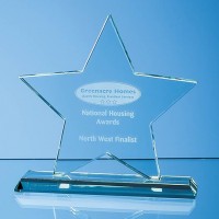 15cm x 12mm Jade Glass Star Award