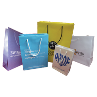 120 x 100 x 350 - Rope Handled Paper Carrier Bags 