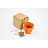 Eco Kraft Kit 2