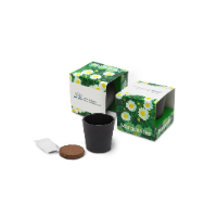 Ceramic Grow Kit