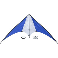 Kite