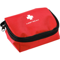 First aid kit in nylon pouch