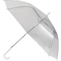 Transparent automatic umbrella                     