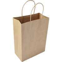 Paper bag,‘medium’.                                