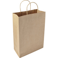 Paper bag,‘large’.                                 