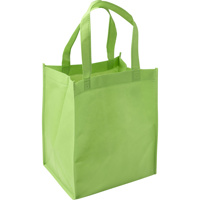 Nonwoven (80gr) carry/shopping bag.                