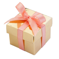 Mini present box