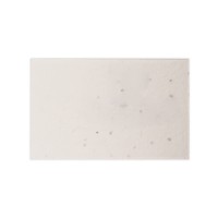 Seed Paper Business Card