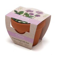 Standard Growing Gift with Mini Terracotta Pot