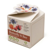 Mini Box Seed Kit