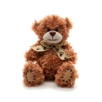 Shaggy 12cm Teddy Bear